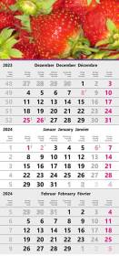 3-Monatskalender 2025 Standard II - Bild vergrern