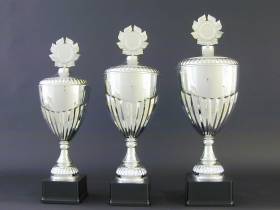 Pokal - Bild vergr��ern