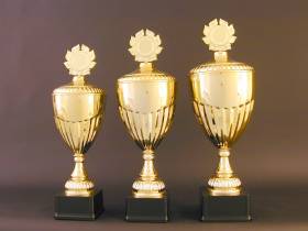 Pokal - Bild vergrößern
